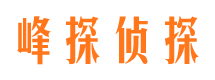 高邑出轨调查